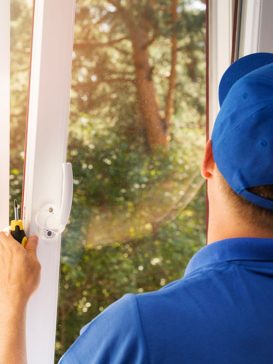 window-guy_750_cropped field guide image