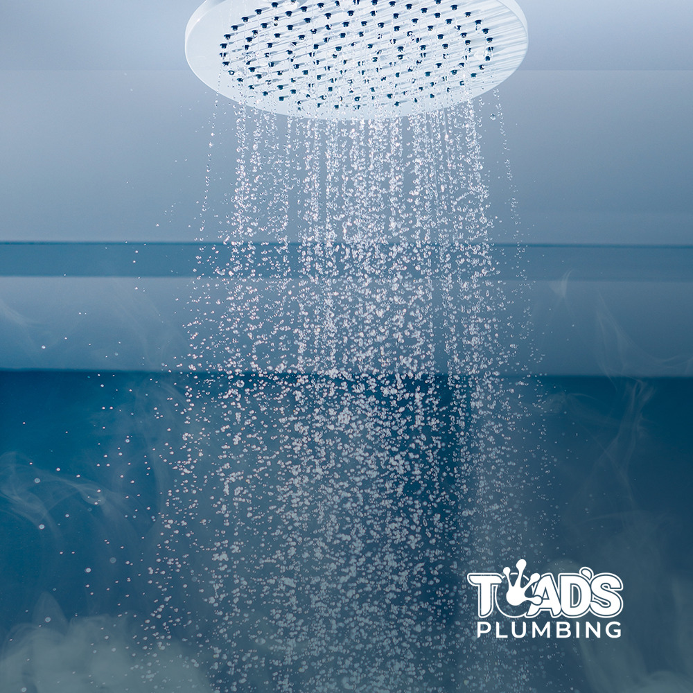 toad's Plumbing, shower head image